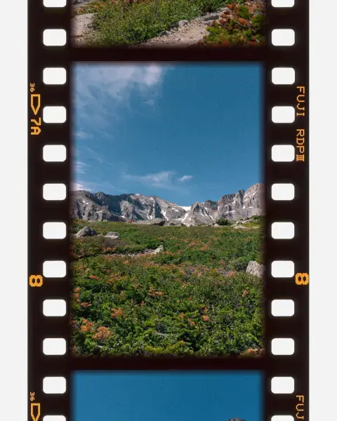Photos up the trail to longs peak, This one shows the towerring slabs of rock in the distance over the short shrubs, the only things that can survive the oxygen and wind.