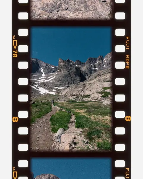 A medow in a short (but stunning) flat marshy part of the hike up longs peak.