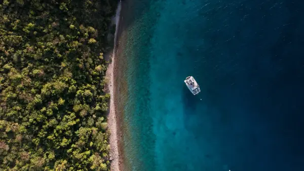 Aerial view of forested coastline with beach and ocean.